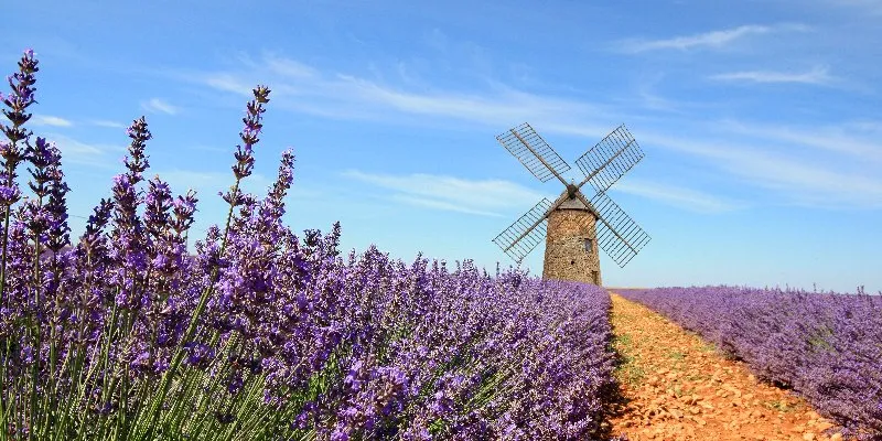 Valensole